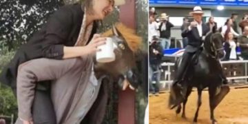 Uribe, el hazmerreír de su candidata Ángela Garzón