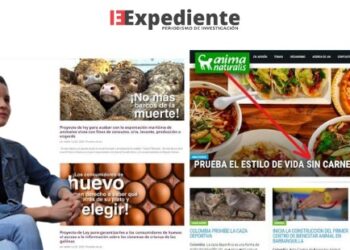 ¿Qué hay detrás del berrinche animalista y la guerra contra la industria avícola y ganadera?