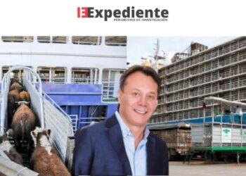 Las mentiras del proyecto de ley que busca prohibir la exportación de ganado en pie
