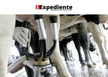 Las 9 marcas denunciadas por venta de leche adulterada