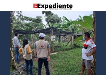 Por falencias en su ejecución, la Contraloría General realiza acompañamiento al Programa de Sustitución de Cultivos Ilícitos en Putumayo