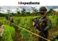 Alerta de Estados Unidos: Colombia bajo las garras del narcotráfico