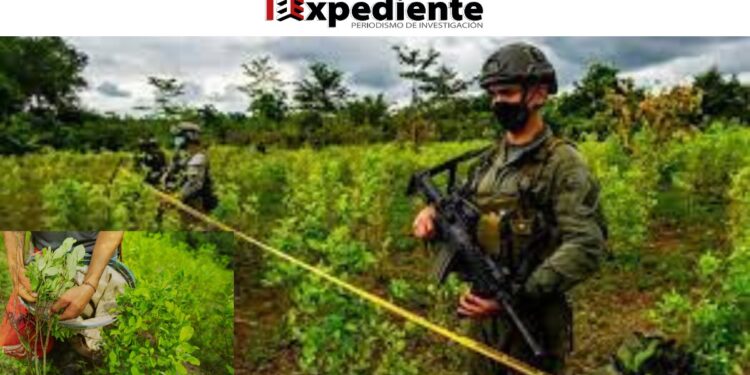 Alerta de Estados Unidos: Colombia bajo las garras del narcotráfico