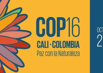 La COP16: Entre saludos a la bandera y presiones fiscales para Cali