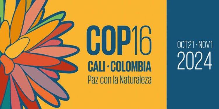 La COP16: Entre saludos a la bandera y presiones fiscales para Cali