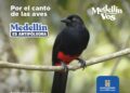 La Alcaldía de Medellín presentó una campaña antipólvora para disfrutar la Navidad en familia y cuidar la vida