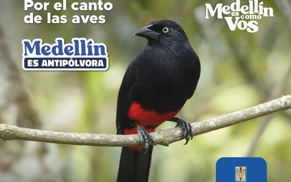 La Alcaldía de Medellín presentó una campaña antipólvora para disfrutar la Navidad en familia y cuidar la vida