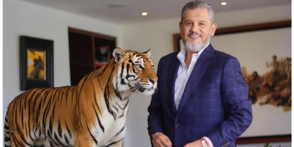 Carlos Suárez: el estratega que creó la marca del Tigre Abelardo, la campaña más potente de la historia política en Colombia