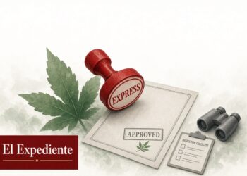 Licencias Express: el gobierno de Petro autorizó cultivos de cannabis y coca sin pisar el territorio ni una sola vez — Especial Libro de la Verdad